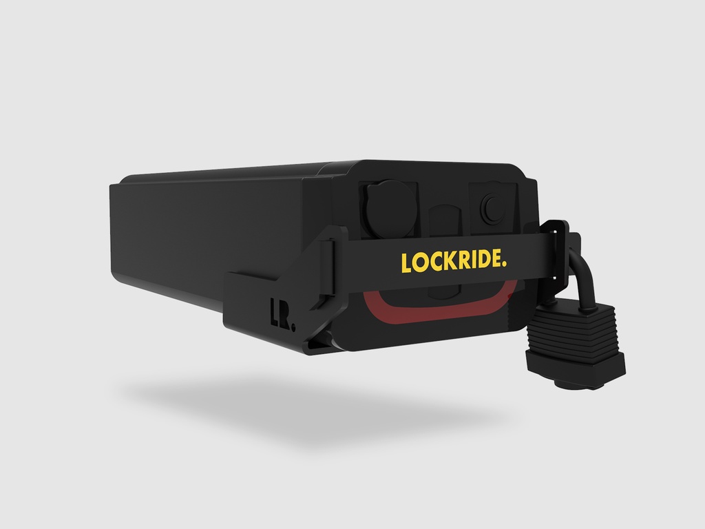 LOCKRIDE Multipla2 for Fatbike with Bafang + ABUS Expedition